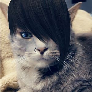 Meet your Posher, Makayla